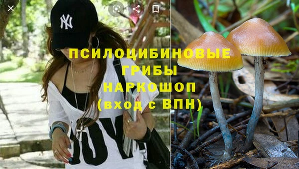 таблы Алексеевка