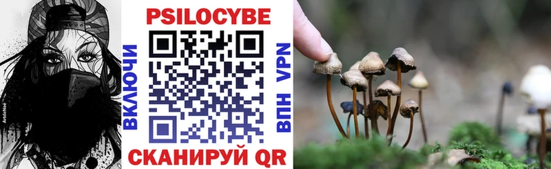 Галлюциногенные грибы Psilocybe  Нижняя Салда 